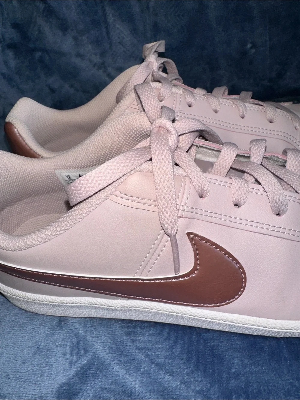 Nike Women’s Blush Pink Low-Top Sneakers with Metallic Rose Swoosh